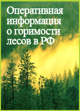 Оперативная информация о горимости лесов в РФ