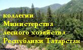 Коллегии Министерства лесного хозяйства РТ