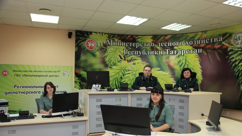 Региональная диспетчерская служба лесного хозяйства