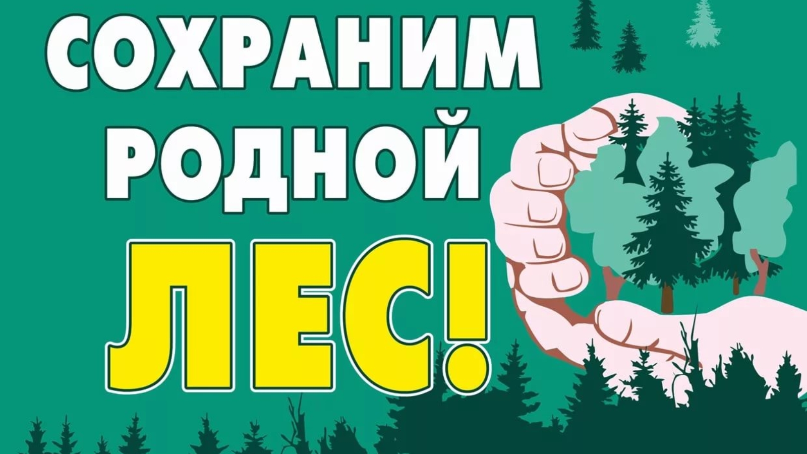 Пока леса. Сохраним лес. Сбережем лес. Берегите лес от вырубки. Сохраним родной лес.