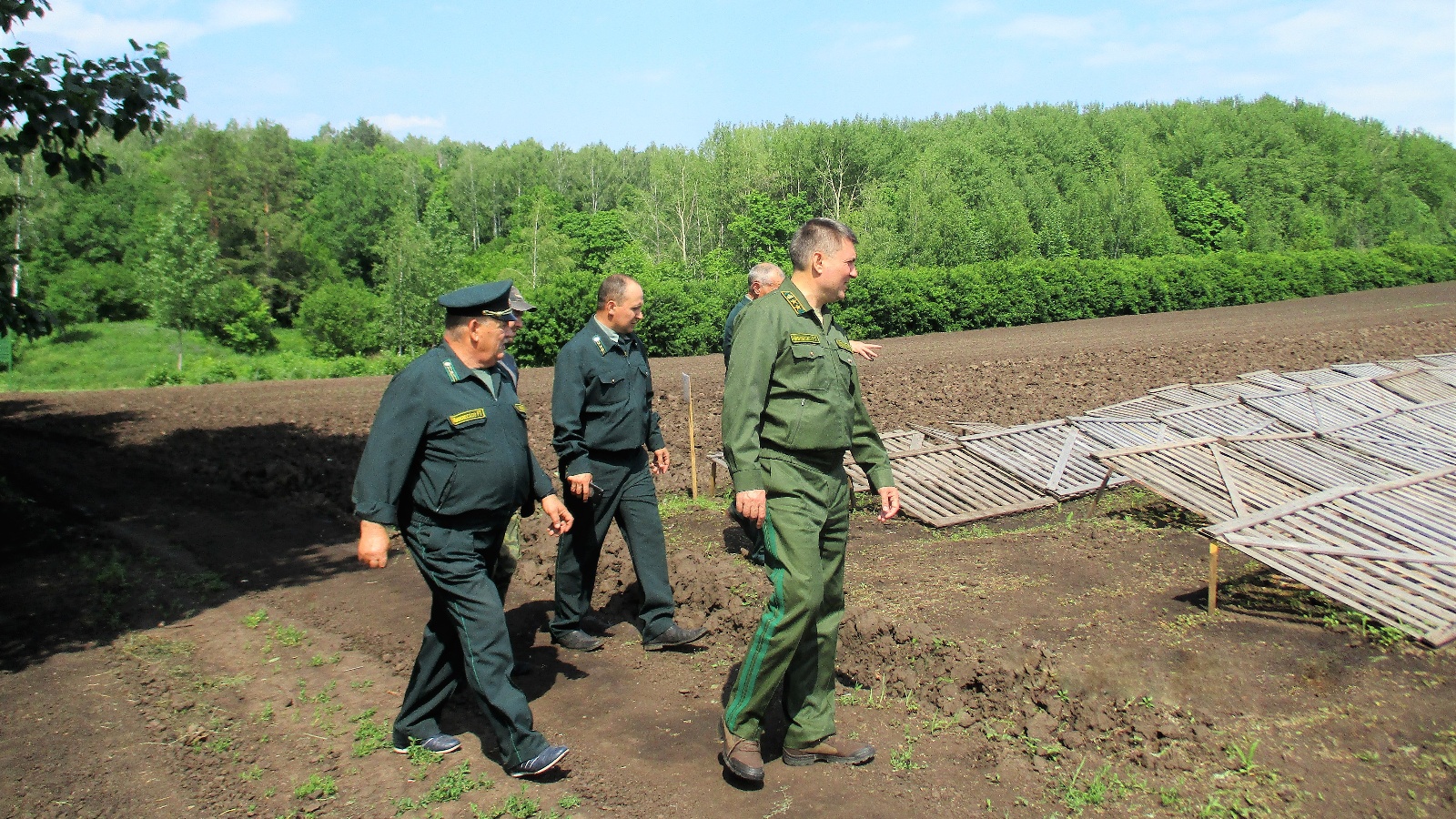 Минлесхоз республики мордовия