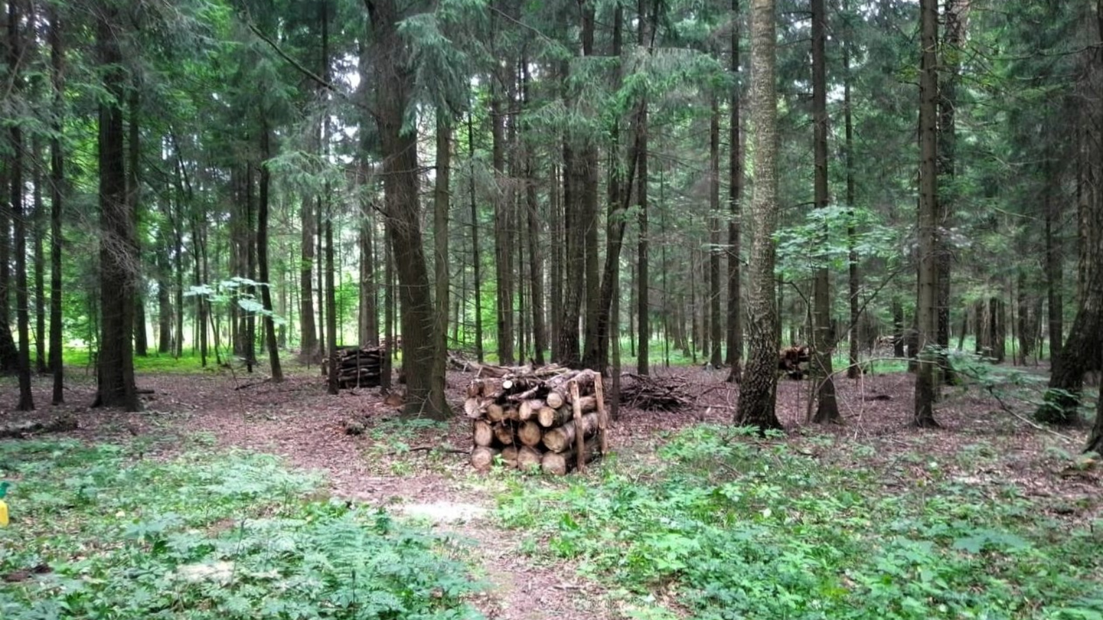 Купить Участок В Лесу В Красногорском Районе